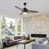 Gray Oak selected