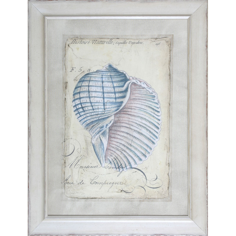 «Shell Ephemera III» par Zarris - reproduction de cadre photo sur toile