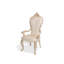 Platine De Royale Champagne Upholstered Arm Chair-271741696
