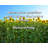 Trinx Gallery Wrapped Canvas By Richard Petty: "Never put a question mark where God puts a Pe