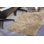Flint Sheepskin Indoor Rug