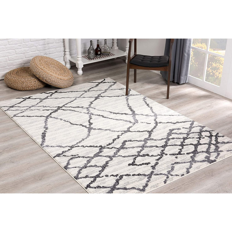 Petrey Moroccan Indoor Rug, Rectangle 4' x 6'