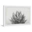 Dawkins - Cadre photo, impression sur papier-738380917-738380923