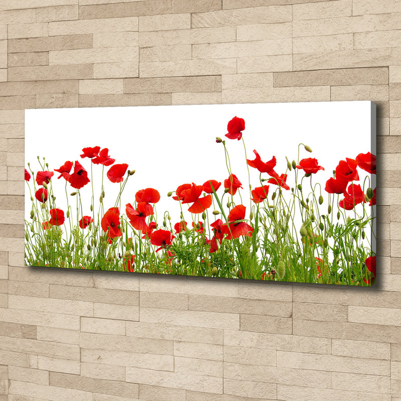 Maki - Wrapped Canvas Print