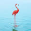 Corsi Animals Metal Garden Statue