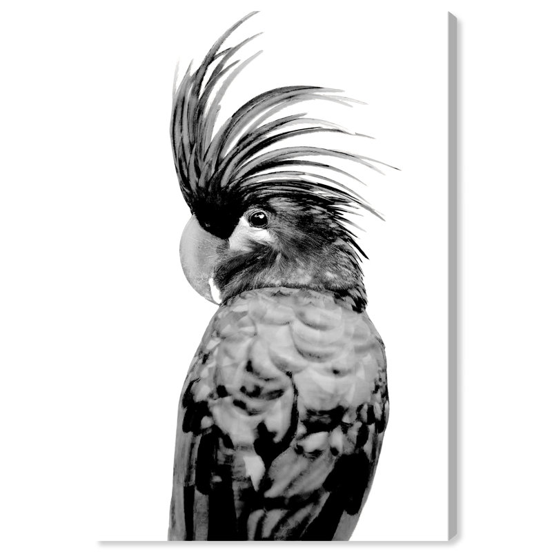 Animaux, cacatoès - Impression sur toile, H 45 po x l 30 po, Toile tendue