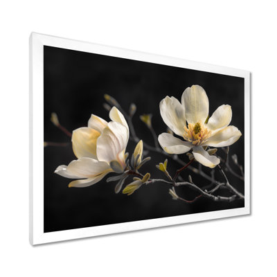 Rodriguez - Magnolias Wall Decor