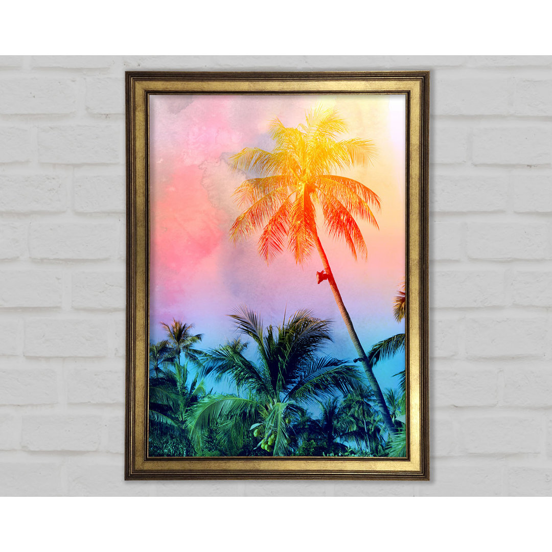 Gerahmtes Leinwandbild Palm Tree Blaze