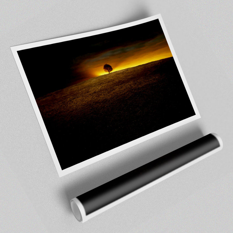 Lonely Tree At First Light - No Frame Print, 100cm H x 141.4cm W