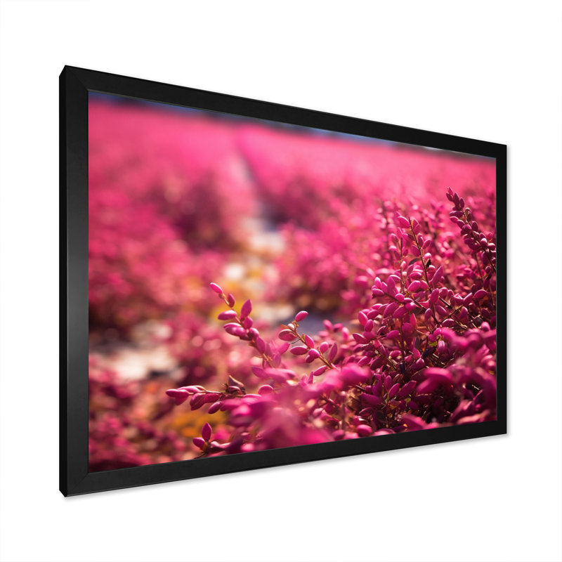 «Fushia Blooming Abstraction I», reproduction sur toile, Cadre simple noir, H 12 po x l 20 po x P 1 po