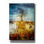 « the maysong », impression sur toile tendue
