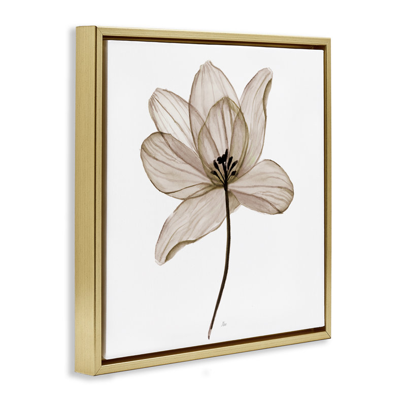 «Beige Opaque Flower Floater», art mural sur toile par Nan, Cadre flottant métallique doré, H 25 po x l 25 po