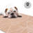 Outdoor Rug Plastic Straw Rug Waterproof Patio Jonikka Burnt Orange-702772504