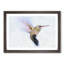 Flying Hummingbird Bird - Picture Frame Graphic Art Print-56712936-56712937