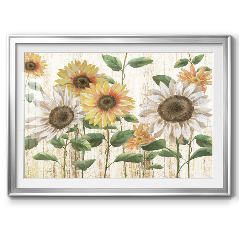 Sunflower Surprise, reproduction d'art encadrée, Argent, H 15 po x l 21 po x P 1,5 po