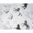 Pointehaven 180 GSM Printed Flannel 100% Cotton Deep Pocket Sheet Set-1394720139-1470891095