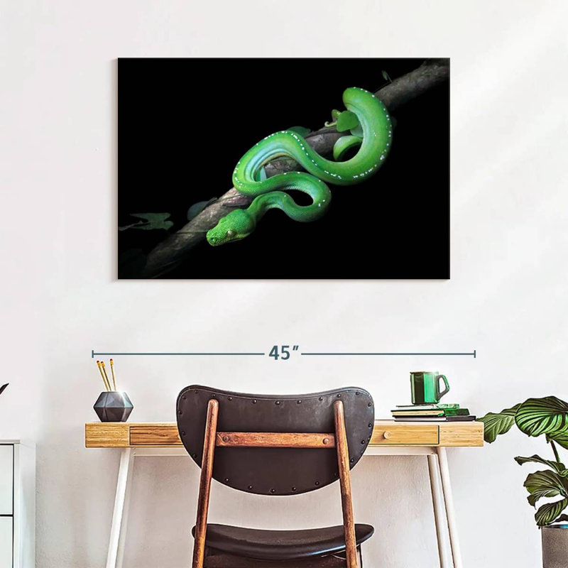 Brampt Green Python Slithering On A Branch, 26" H x 39" W