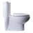 Toilet Seat