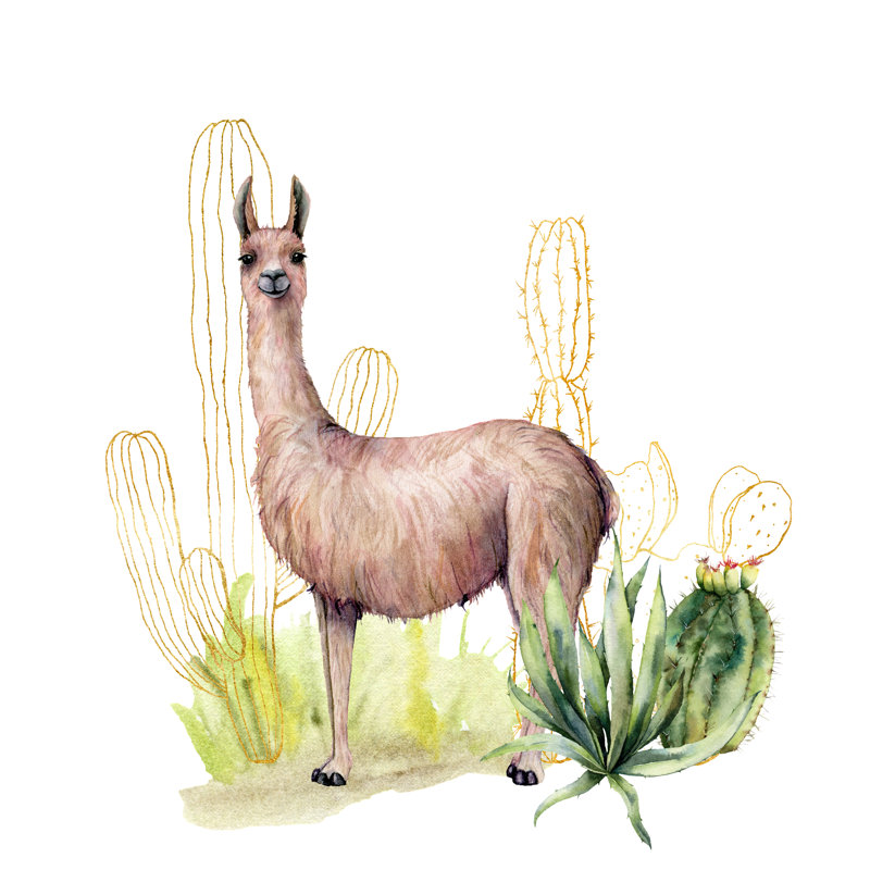 Llama by Yuliya Derbisheva - Wrapped Canvas Print, 122cm H x 122cm W x 3.8cm D