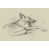 White Framed Paper Print is unavailable