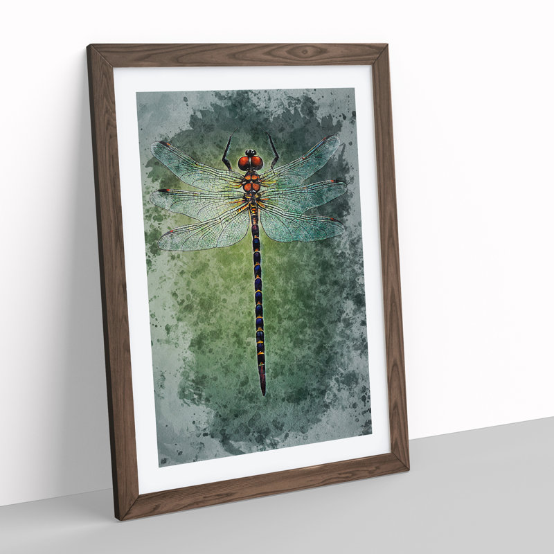 XV1022-5113X Watercolour Dragonfly No.2 - Single Picture Frame Painting, 64cm H x 46cm W x 2cm D, Walnut