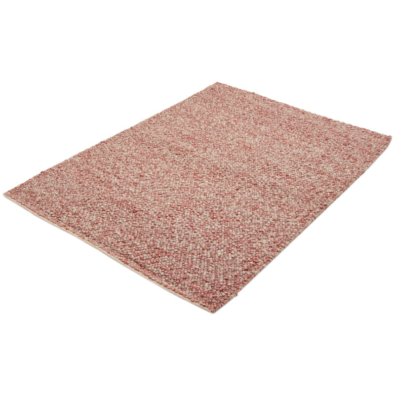 Haizlip Performance Hand Braided Wool Rug