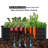 Lafayette Rectangular Galvanized Metal Raised Garden Bed-33146296-12493484