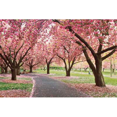 " Cherry Parade " by Katherine Gendreau