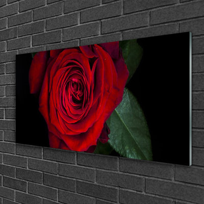 Floral Rose - No Frame Print on Glass
