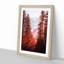 Mountain Through the Forest in Abstract - Picture Frame Graphic Art Print-55731210-55731209