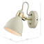Azalea Spotlight-58964988