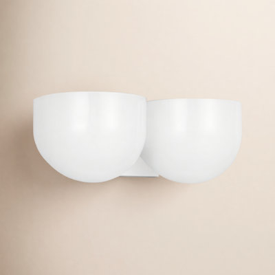 2 Light Frosted Dimmable Vanity Light