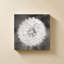 Dandelion Seedhead par Alan Majchrowicz - Impression sur toile-130879672