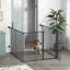 Enclos pour chien