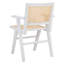 Fauteuil Atticus Cane-53582220