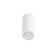 1 Light Ceiling Spotlight