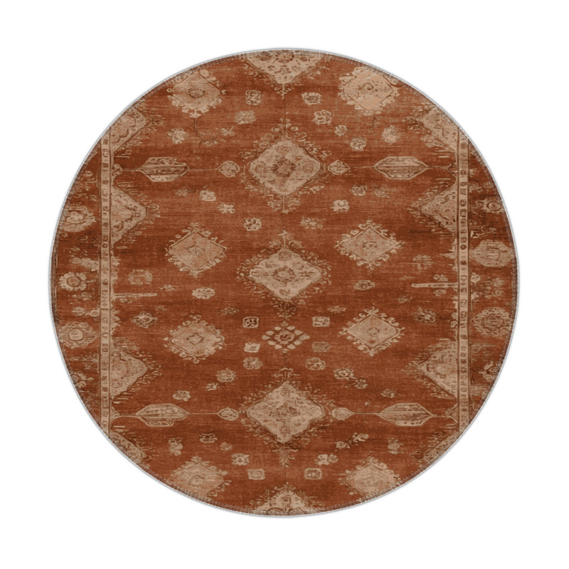 Tapis intérieur et extérieur brun Overdyed, Rond 5 pi