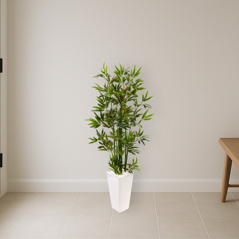 Bamboo Tree in White Tower Planter
