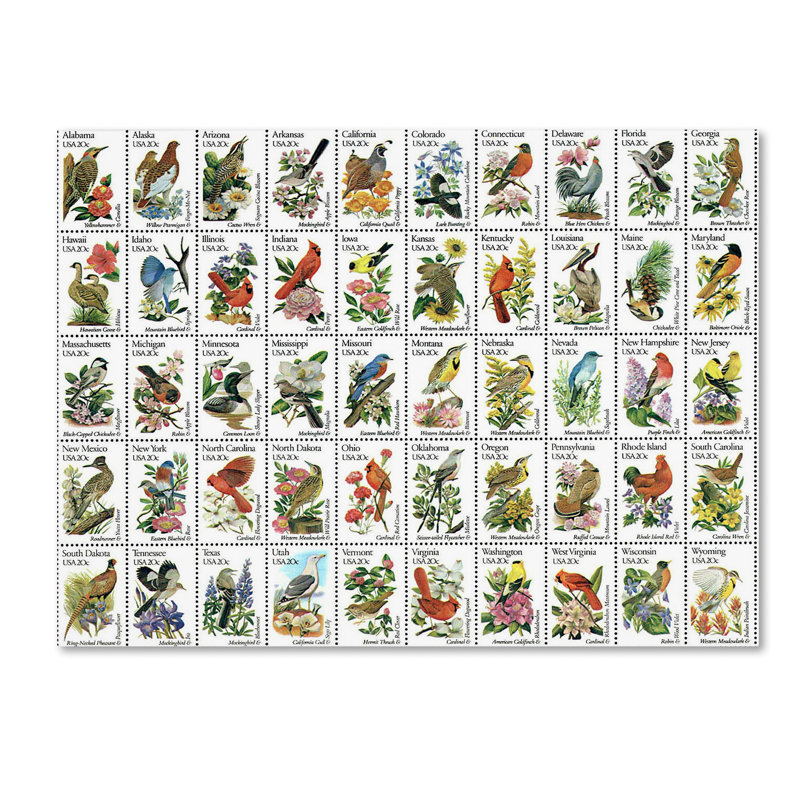 « 50 oiseaux », reproduction sur toile tendue, H 35 po x l 47 po