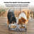 Elevated Dog Double Diner with 2 Stainless Steel Bowls-91973282-91973281