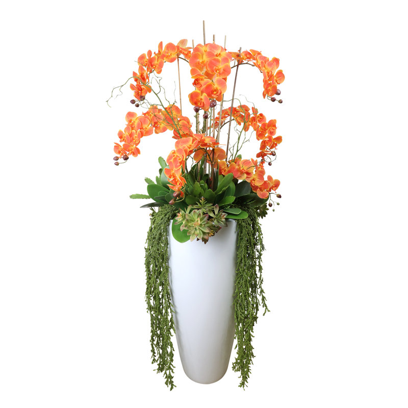 Orchid Arrangement with Cactus in Fiberstone Planter, Orange/Green