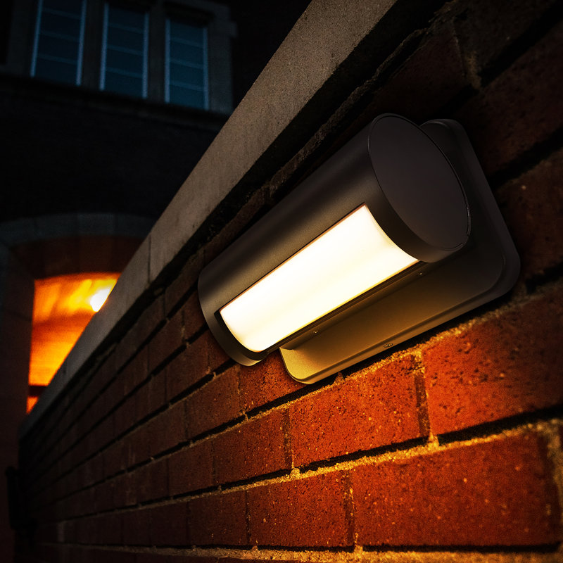 Aluminum LED Wall Light