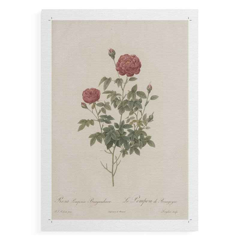 Imprimé floral rétro CLX III - reproduction de toile seulement - non encadrée