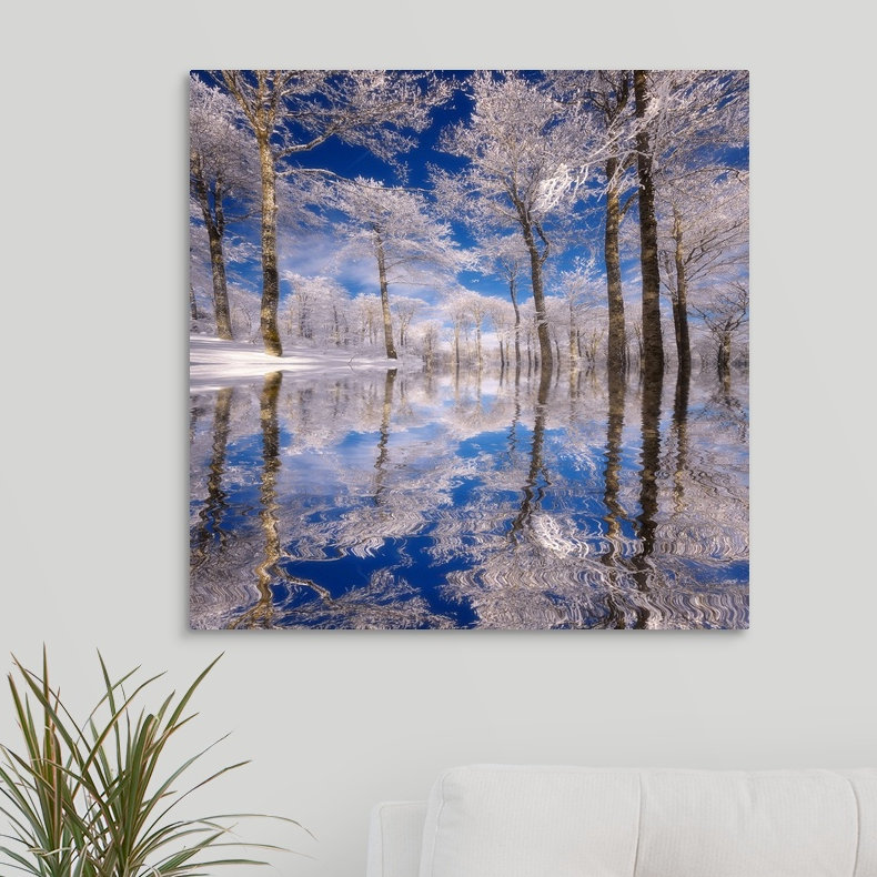 «Dream in Blue» par Philippe Sainte-Laudy - reproduction de photo sur toile, H 24 po x l 24 po x P 1,5 po