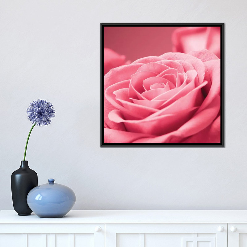 « rose rose i », impression sur toile, H 18 po x l 18 po x P 1,5 po, Toile avec cadre noir, Pas de tapis