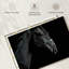 Tête de cheval Brampt-107687045