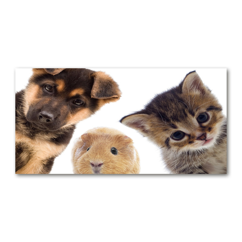 Pets - Wrapped Canvas Print