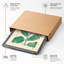 Study In Green Botanical - Print-1495744377-1495744368