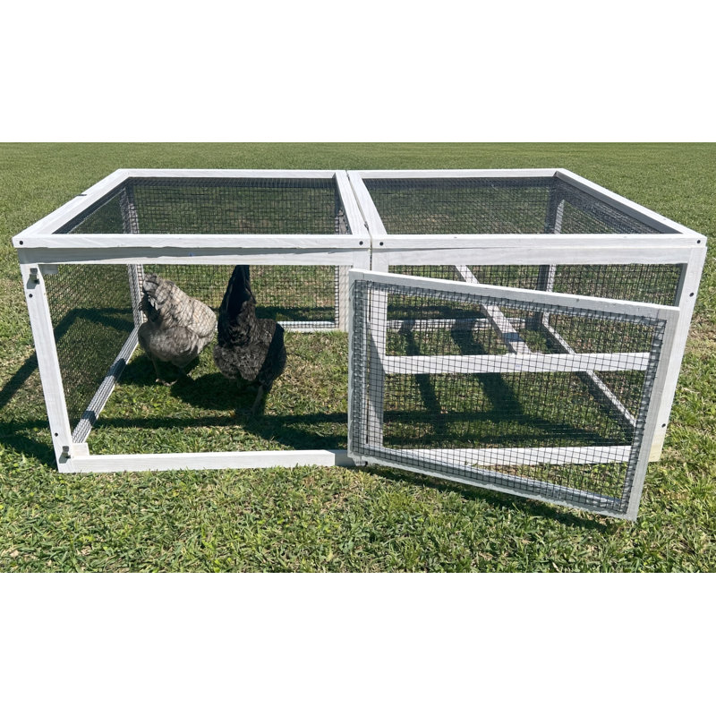 13 pieds carrés 4