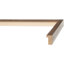 Lin Coastal Plover II-310238590-338646474-379427100